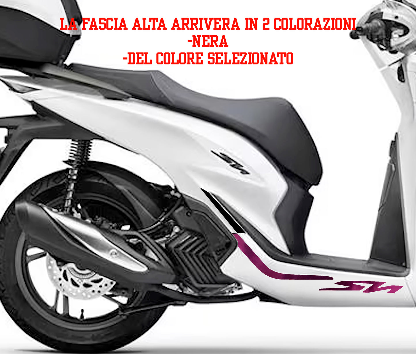 ALLESTIMENTO COMPATIBILE SH SPORT SOTTO PEDANA