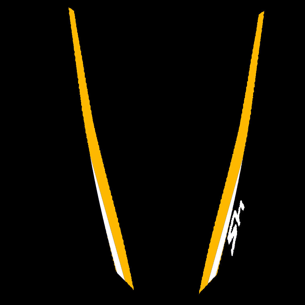 SIDE BANDS COMPATIBLE WITH SH SPORT 2024